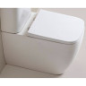 Унитаз BELBAGNO BB0159CPR