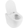 Унитаз приставной безободковый BELBAGNO BB2141CBR/BB2111SC